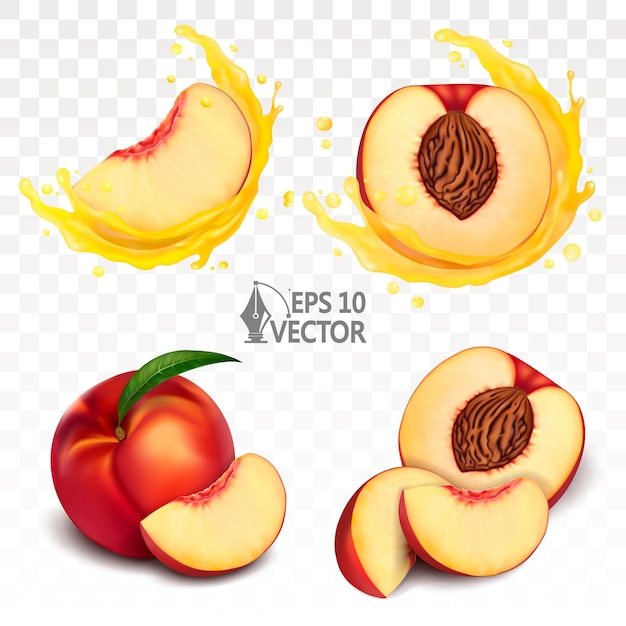 Set perzik nectarine vers fruit segment met plons sappig en druppels 3D-realistische vector icon