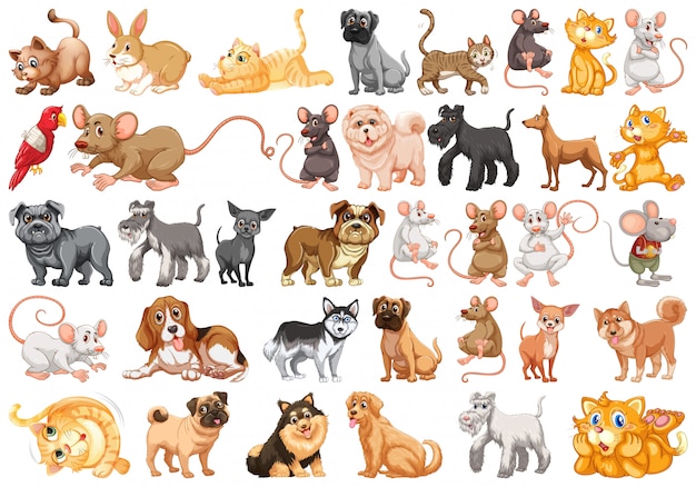 Set of pet character