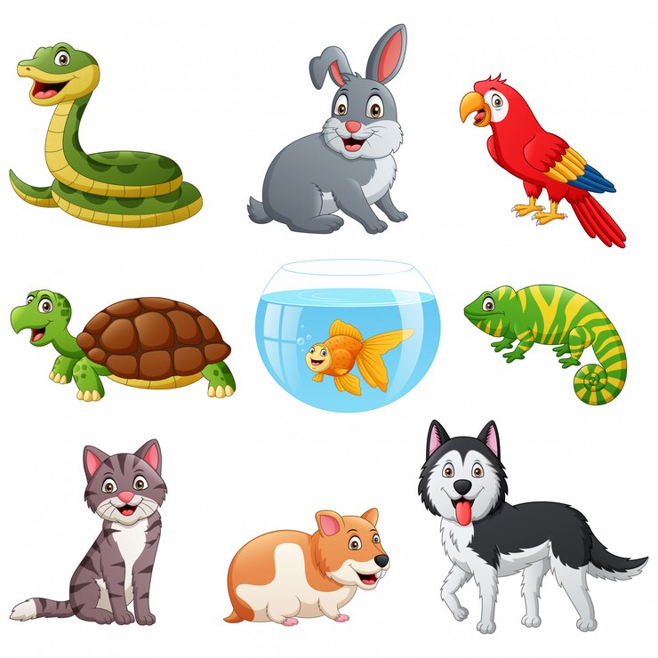 वेक्टर set of pets cartoon.   illustration