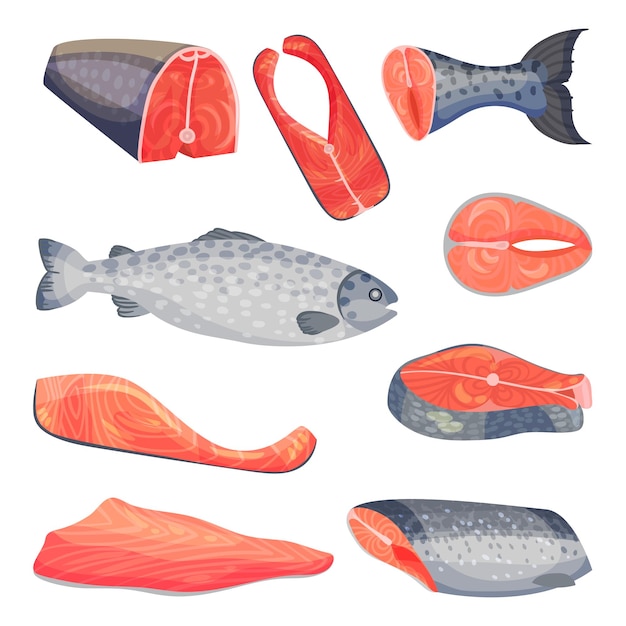 Set of pieces of salmon vector illustration on a white background