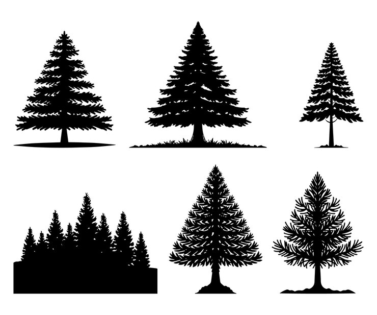 Vector set of pine tree silhouette pine tree landscape vector on isolated white background