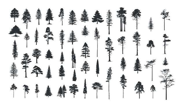 Set of pine tree silhouettes fir forest trees