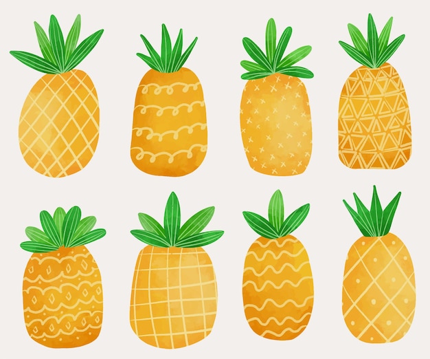 set of pineapple with different texture