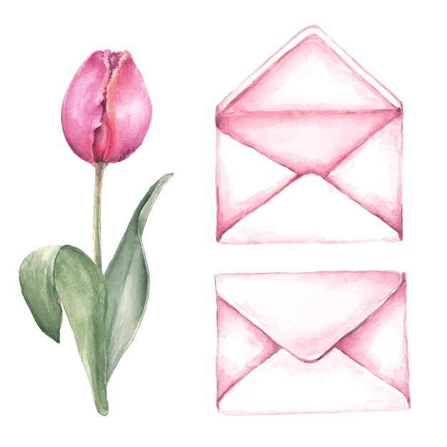 Vector set of pink envelopes and pink tulip watercolor illustration