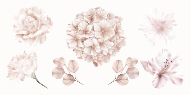수국, 장미와 백합의 핑크 꽃 세트