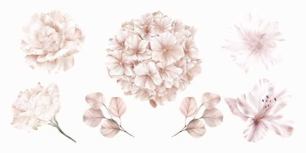 Set of pink flowers of hydrangea, rose and lily