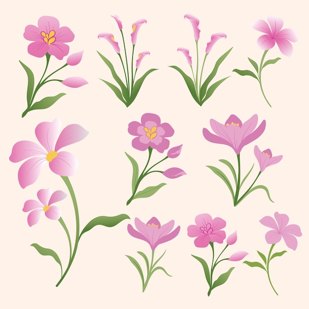 A set of pink flowers on a pink background.