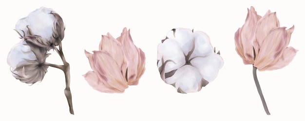 Vector set of pink tulips and cotton