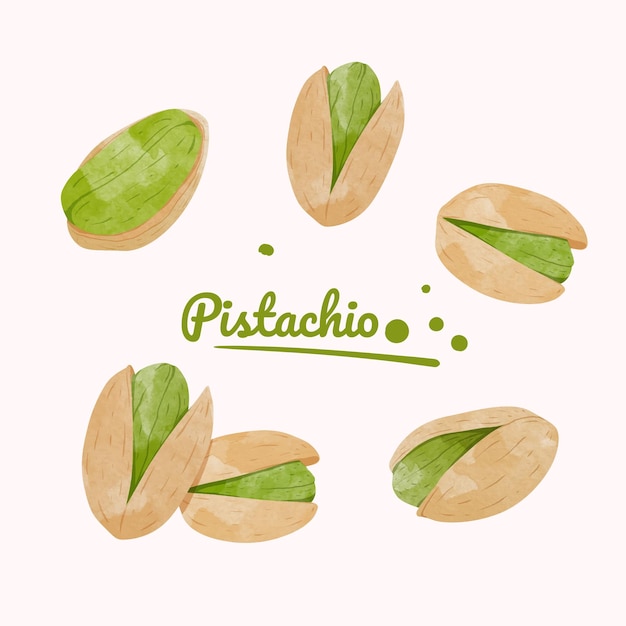 Set of pistachios design elements, watercolour style vector illustration.