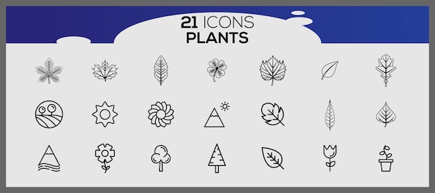 Set of plant hand drawn vector Set of different plants iconSet of ornamental plants