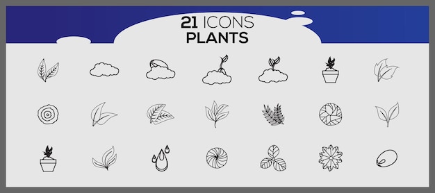 Set of plant hand drawn vector Set of different plants iconSet of ornamental plants