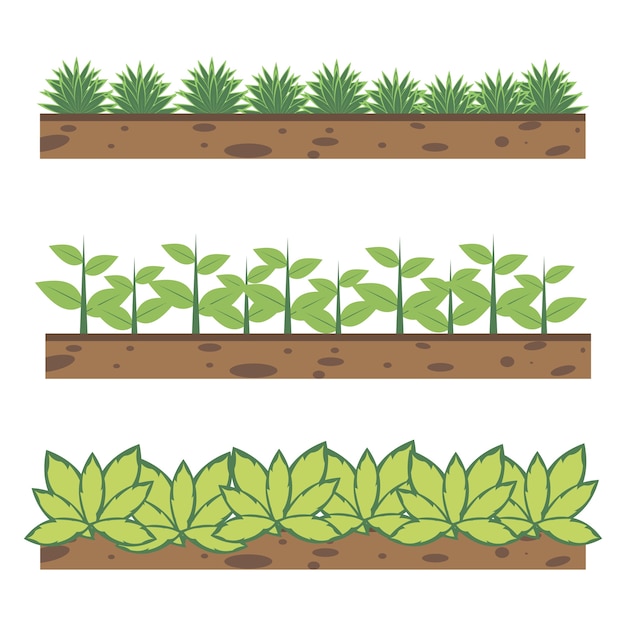 Vector set plant illustration