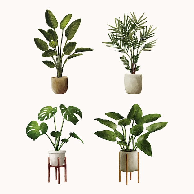 Vector set of plant in pot watercolor hand drawn