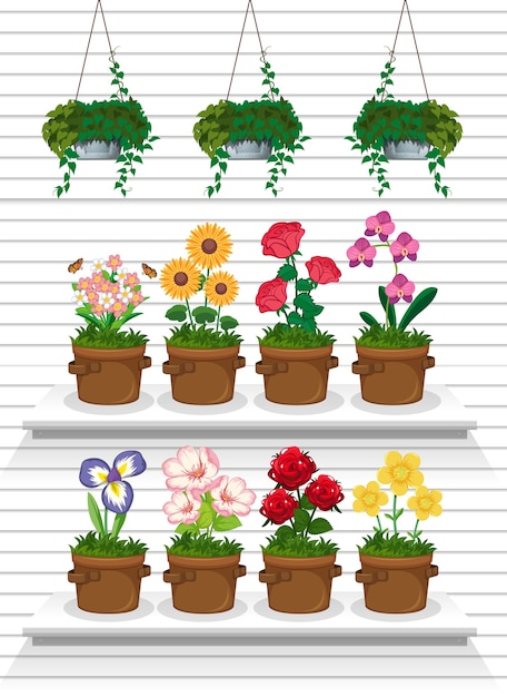 Vector set of plant on shelves