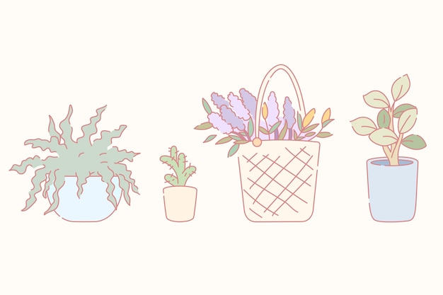 Set of plants in different containers in hand drawn line style