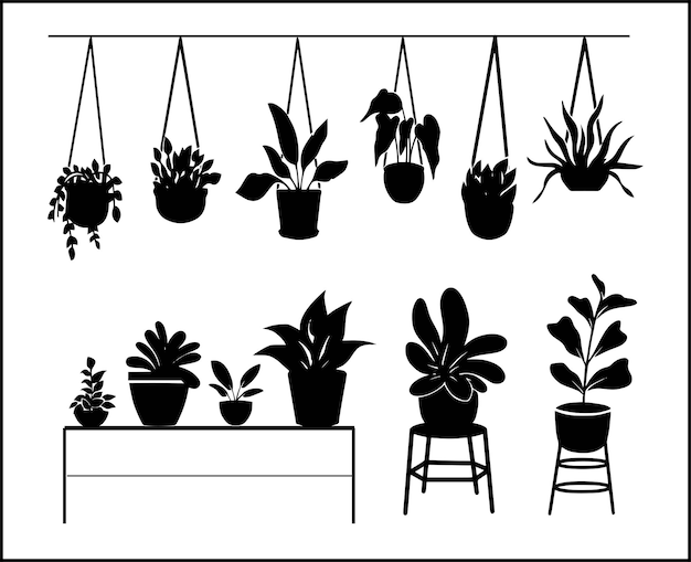 Set of plants in hanging pots and pots on stands silhouette