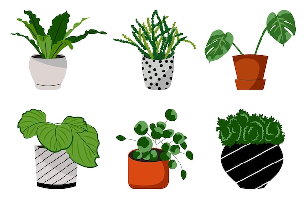 Набор растений в горшках плоских иллюстраций