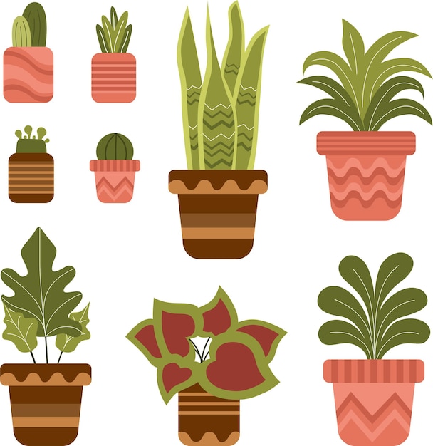 ピンクの縁取りのポットに入った植物のセット。