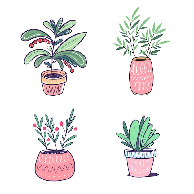 A set of plants in pots