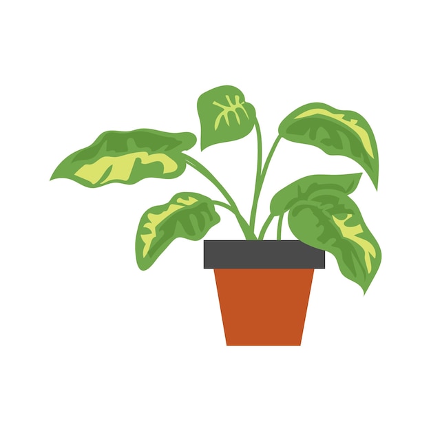 Vector set of plants with brown pots pot