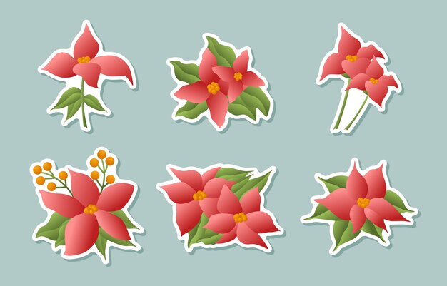 Set of Poinsettias Flower Sticker