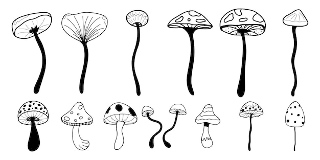 Set of poisonous mushrooms in the style of doodle and a cartoon