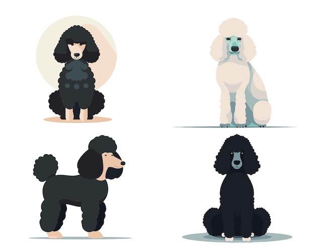 Vector a set of poodle dog flat vector illustration