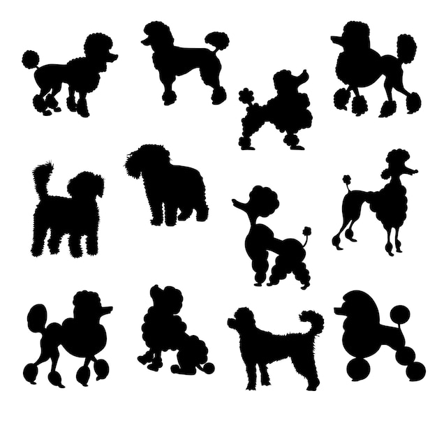 Set of Poodle Silhouette vector Illustration Eps10