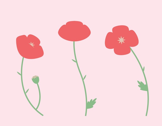 Set of poppies in flat style