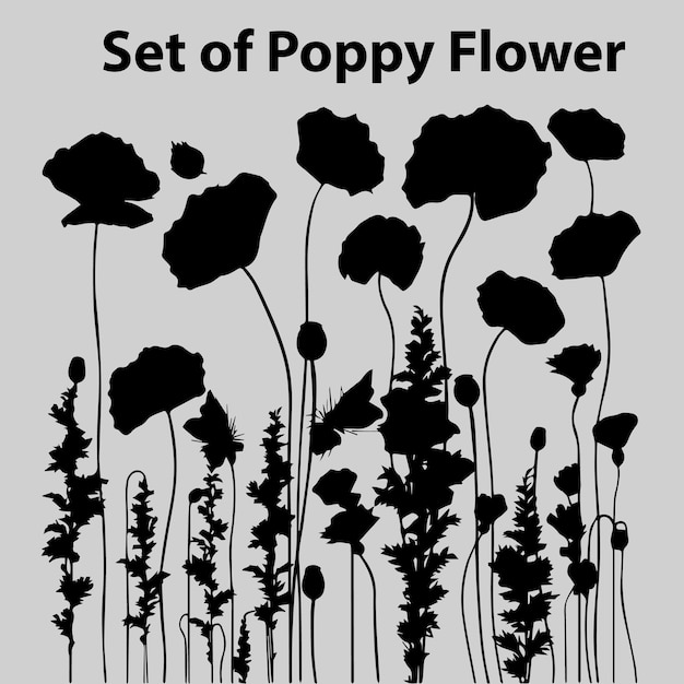 A set of poppy flower silhouette vector illustration