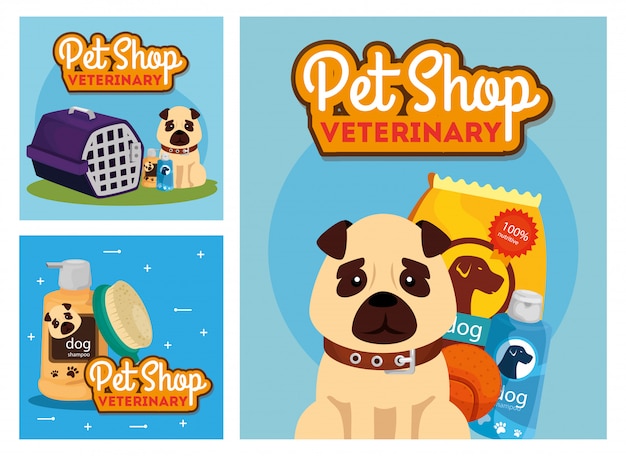 set poster of pet shop veterinary with icons