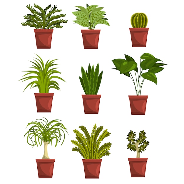 Vector set of pot green deciduous plants with leaves. sansevieria, cactus, pipal, bonsai, palm tree. houseplants . gardening hobby.   on white