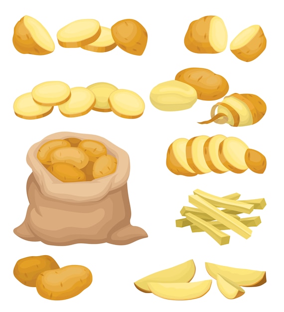 Vector set of potato icons. natural farm product. raw vegetable. organic and healthy food. healthy eating