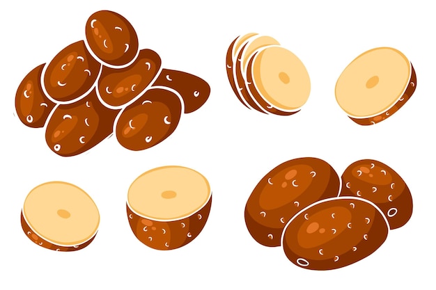 Set of potatoes. Whole potatoes, cut into wedges, half. In a cartoon style. Vector illustration for design and decoration.