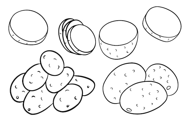 Set di patate patate intere tagliate a metà a spicchi in stile linea illustrazione vettoriale per il design e la decorazione