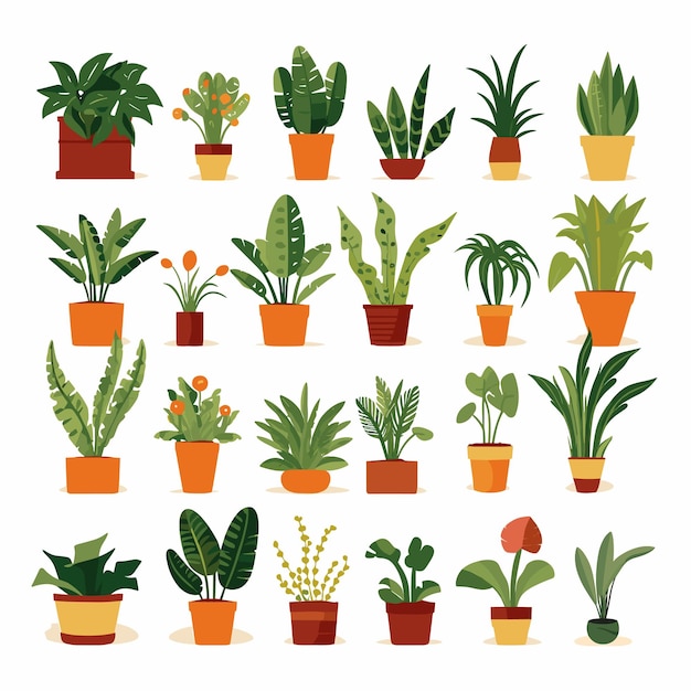 Set potplanten voor thuis Verschillende kamerplanten geïsoleerd op witte achtergrond Vectorillustratie