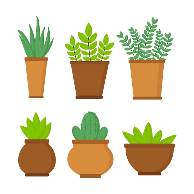 Set of pots with plants on white background