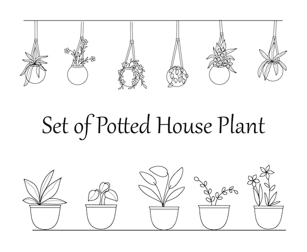 Vector set of potted house plant illustrations