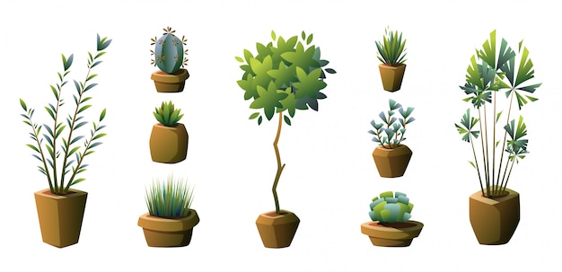 Set of potted plants. Vector.