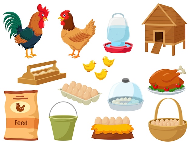 Vector set of poultry farm cartoon elements