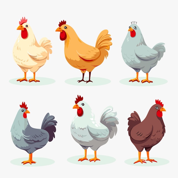 Set of poultry farm chicken birds Hens cartoon vector illustration