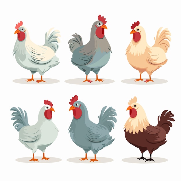 Set of poultry farm chicken birds Hens cartoon vector illustration