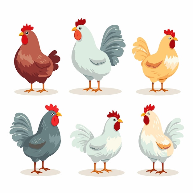 Set of poultry farm chicken birds Hens cartoon vector illustration