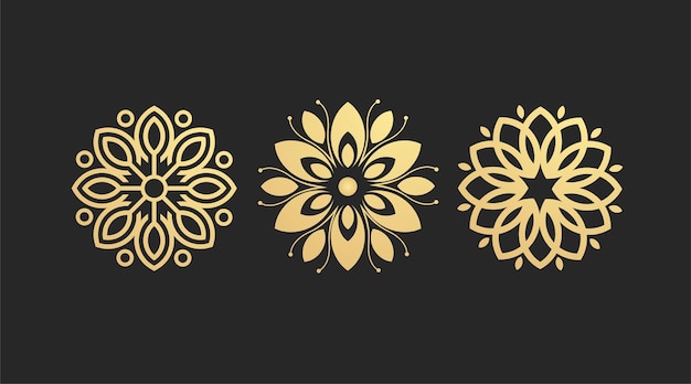 Set di modelli di design del logo di bellezza con fiori d'oro premium