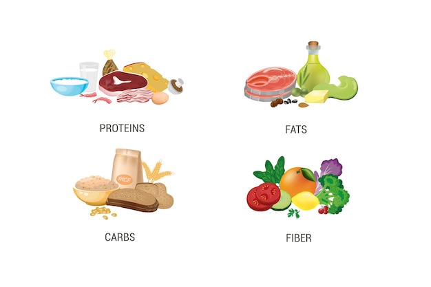 Set proteins fats carbohydrates fiber sets of products