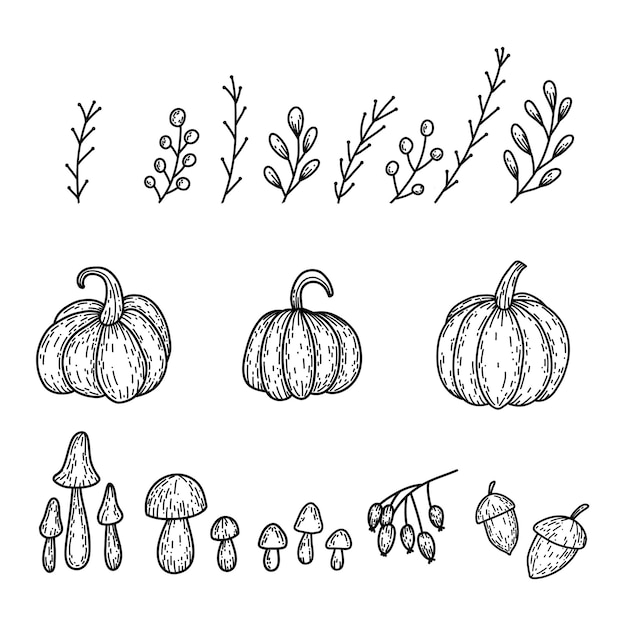 Vector set of pumpkin, branches, mushroom, rose hip, acorn in hand drawn doodle style. linear autumn vector illustration