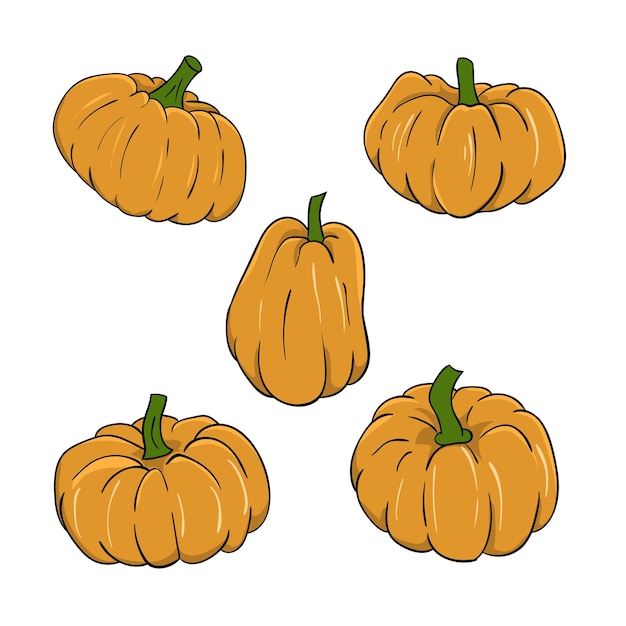 set of pumpkin element halloween decoration october season harvest