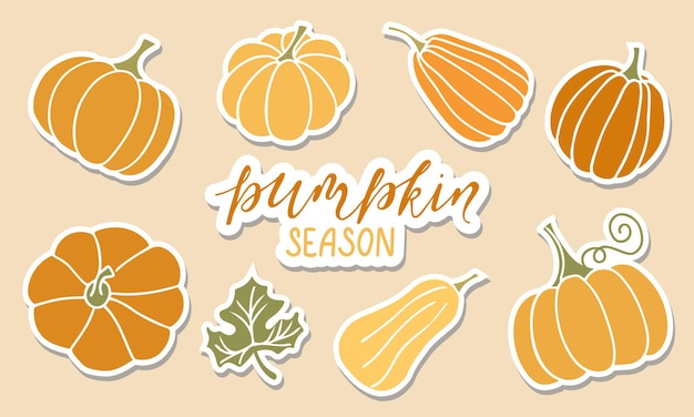 Set of pumpkin stickers Pumpkin season handwritten lettering text Autumn harvest sticker for design