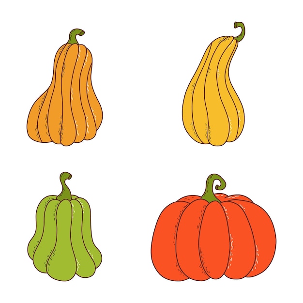 Set of pumpkin of various shapes and colors Thanksgiving and halloween elements