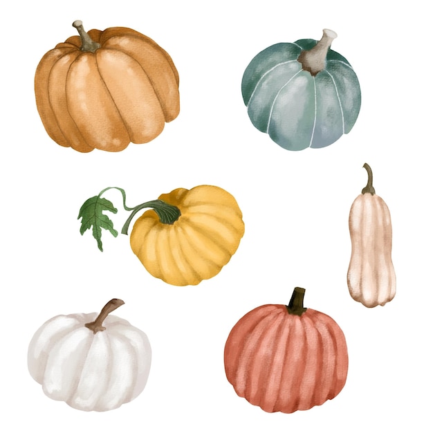 Set of pumpkins autumn thanksgiving watercolor